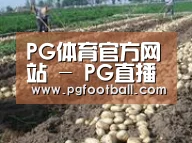 种植基地八
