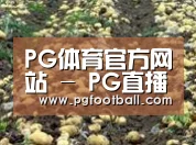 种植基地七