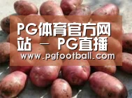 产品展示标题5