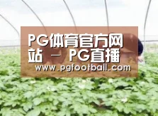 种植基地三