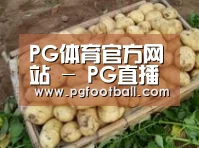 产品展示标题3