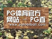 种植基地八(图1)