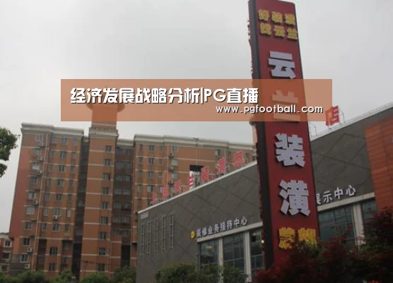 经济发展战略分析|PG直播(图1) PG专区
