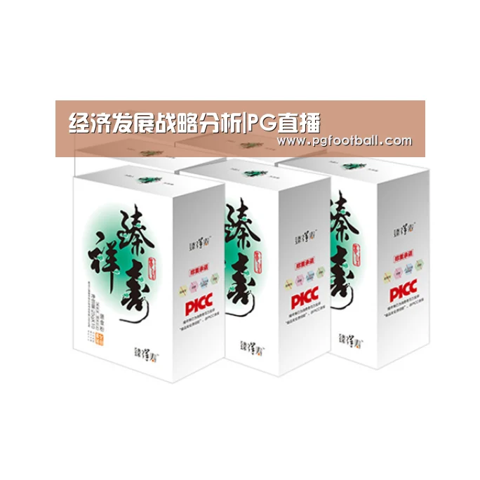 经济发展战略分析|PG直播(图3) PG导航