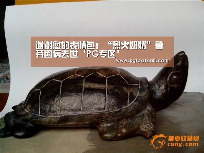 谢谢您的表情包!“烈火奶奶”鲁芬因病去世‘PG专区’(图2) PG直播