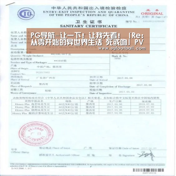 PG导航