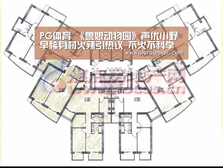 PG体育