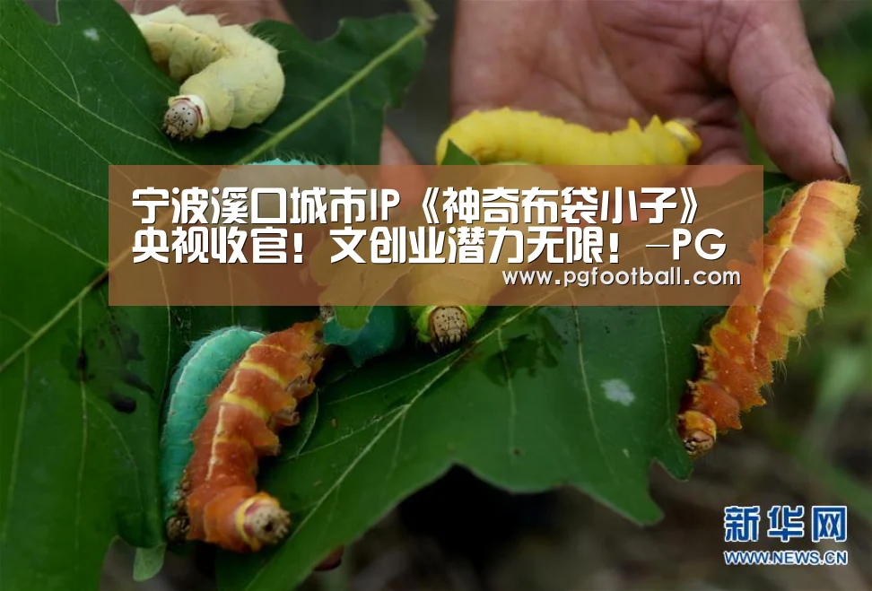 PG体育