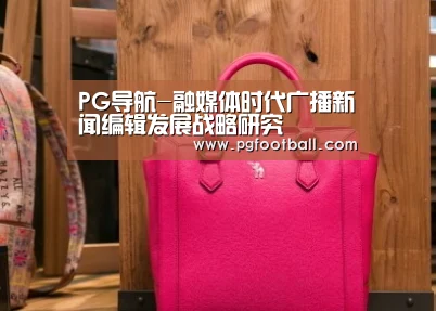 PG导航-融媒体时代广播新闻编辑发展战略研究(图3) PG专区