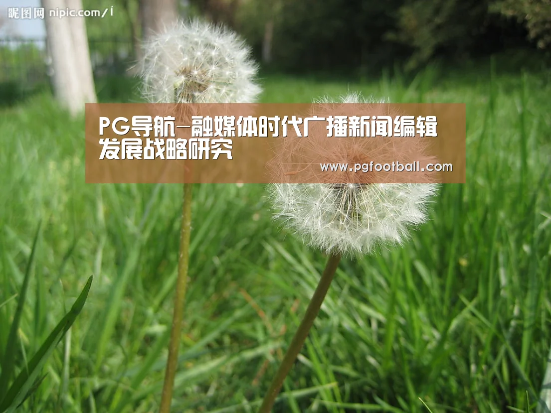 PG导航-融媒体时代广播新闻编辑发展战略研究(图1) PG导航