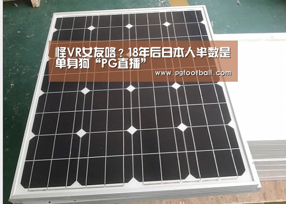 PG体育