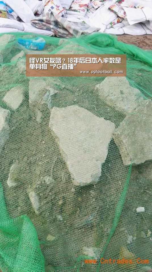 PG专区