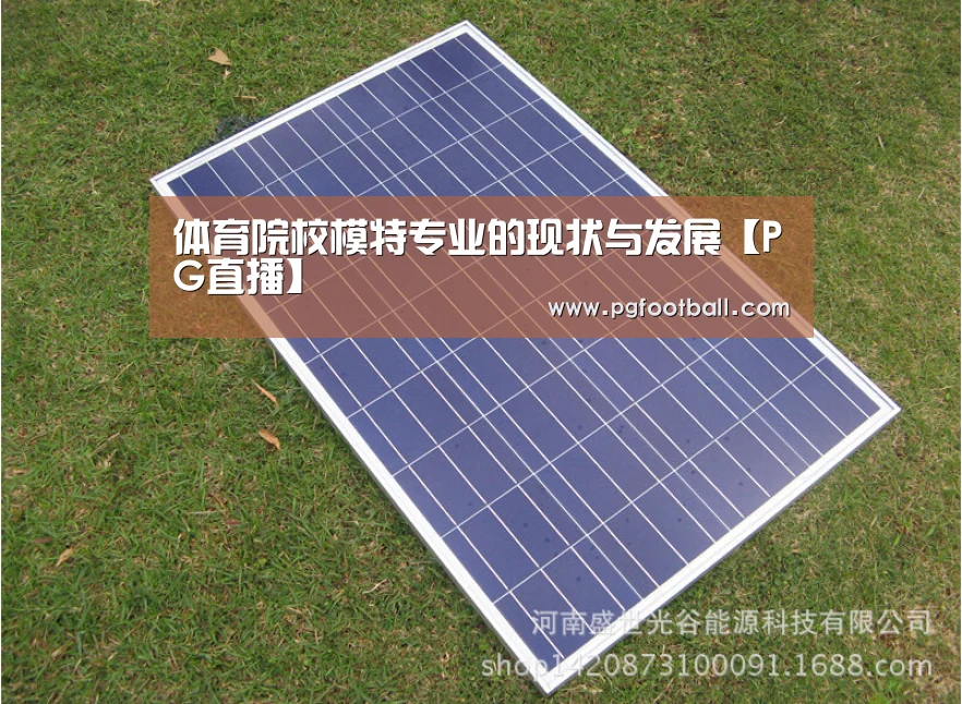 体育院校模特专业的现状与发展【PG直播】(图1) PG导航